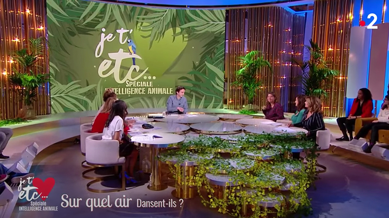 Je t'aime etc